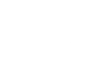 Lammina Veneers-1
